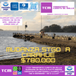 Mudanza Stgo a Carahue