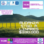 Mudanza Stgo a Linares